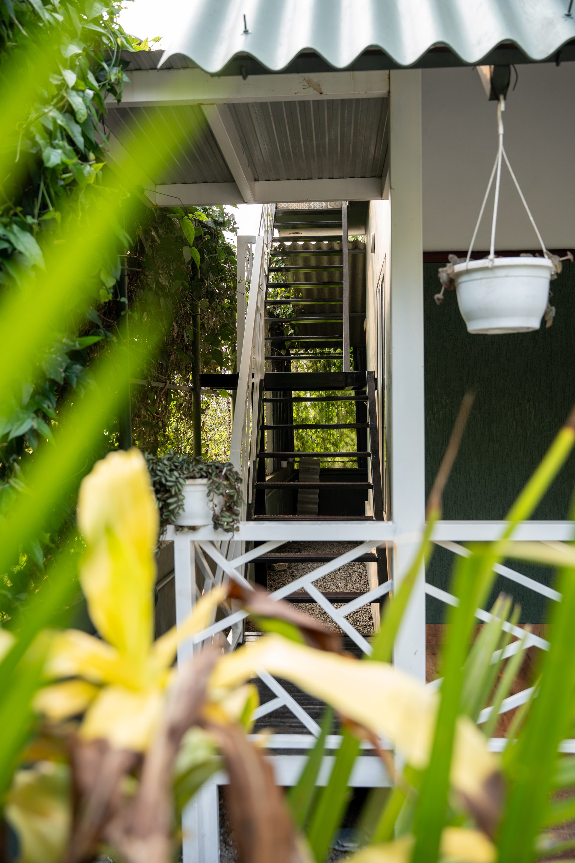 Fortune Villa gallery image 8